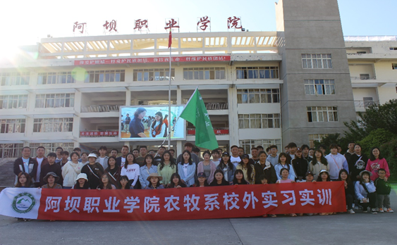 说明: 图片